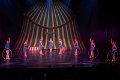 Mini Stars Circus 1D  53